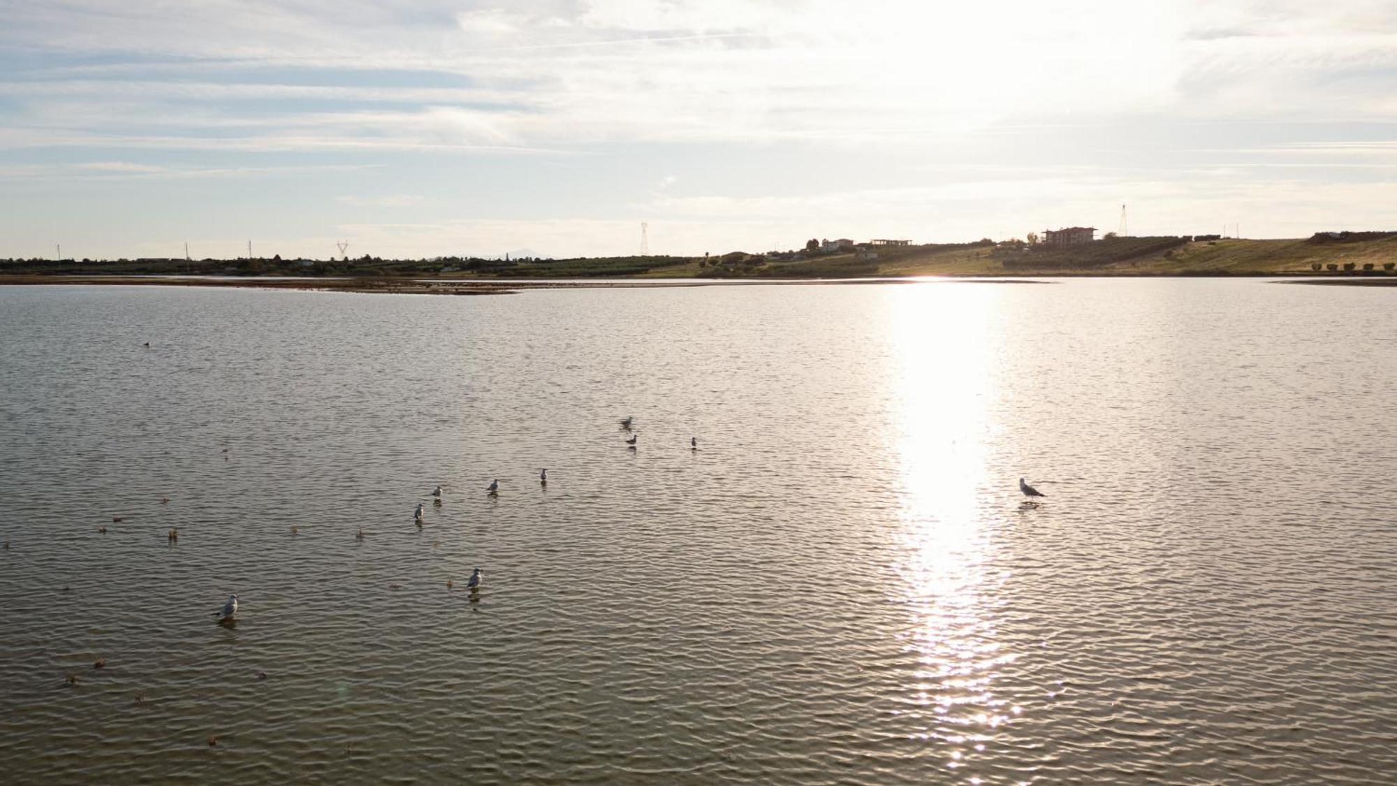 Flamingo View Suites & Villas Nea Poteidaia Eksteriør billede